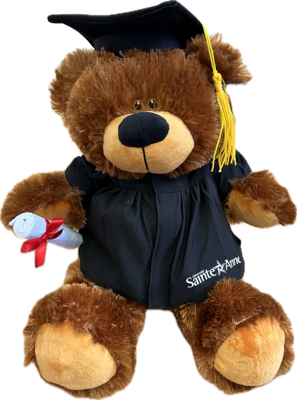Ourson en peluche 12